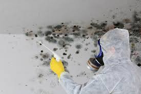 Best Mold Remediation for Healthcare Facilities  in USA